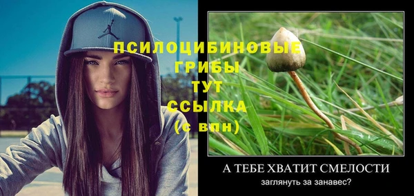 шишки Бугульма