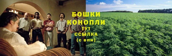 шишки Бугульма