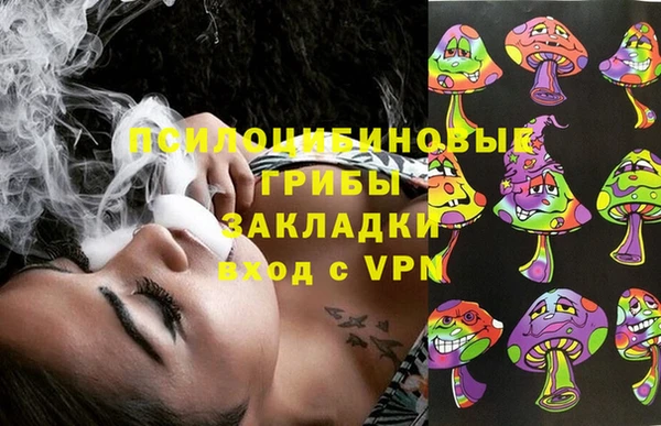 шишки Бугульма