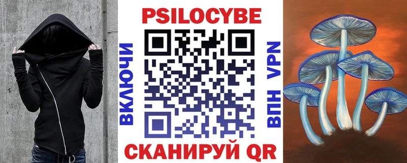 Псилоцибиновые грибы Psilocybine cubensis  Купить где  Семикаракорск 